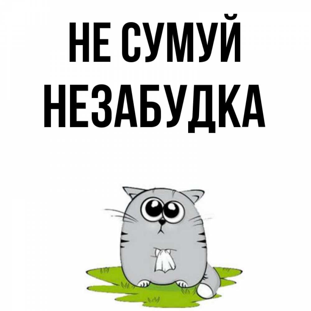 Открытка на каждый день з підписом, Незабудка Не сумуй грустный котяра Прикольна листівка з побажанням онлайн скачати безкоштовно 