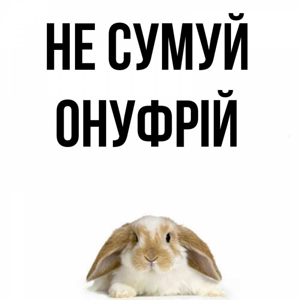 Открытка на каждый день з підписом, Онуфрій Не сумуй коричнево белый заяц с большими ушками Прикольна листівка з побажанням онлайн скачати безкоштовно 