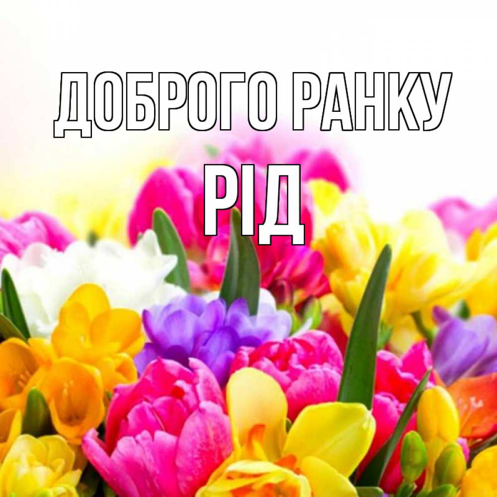 Открытка на каждый день з підписом, Рід Доброго ранку создать открытку со свое подписью Прикольна листівка з побажанням онлайн скачати безкоштовно 