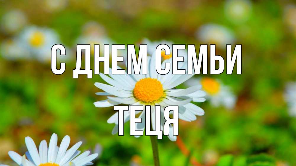 Открытка на каждый день з підписом, Теця С днем семьи с днем семьи Прикольна листівка з побажанням онлайн скачати безкоштовно 