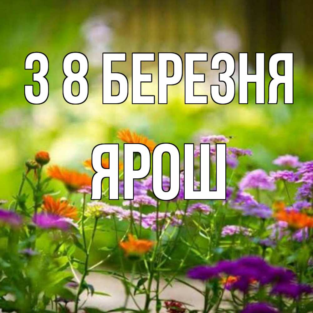 Открытка на каждый день з підписом, Ярош З 8 БЕРЕЗНЯ цветы Прикольна листівка з побажанням онлайн скачати безкоштовно 