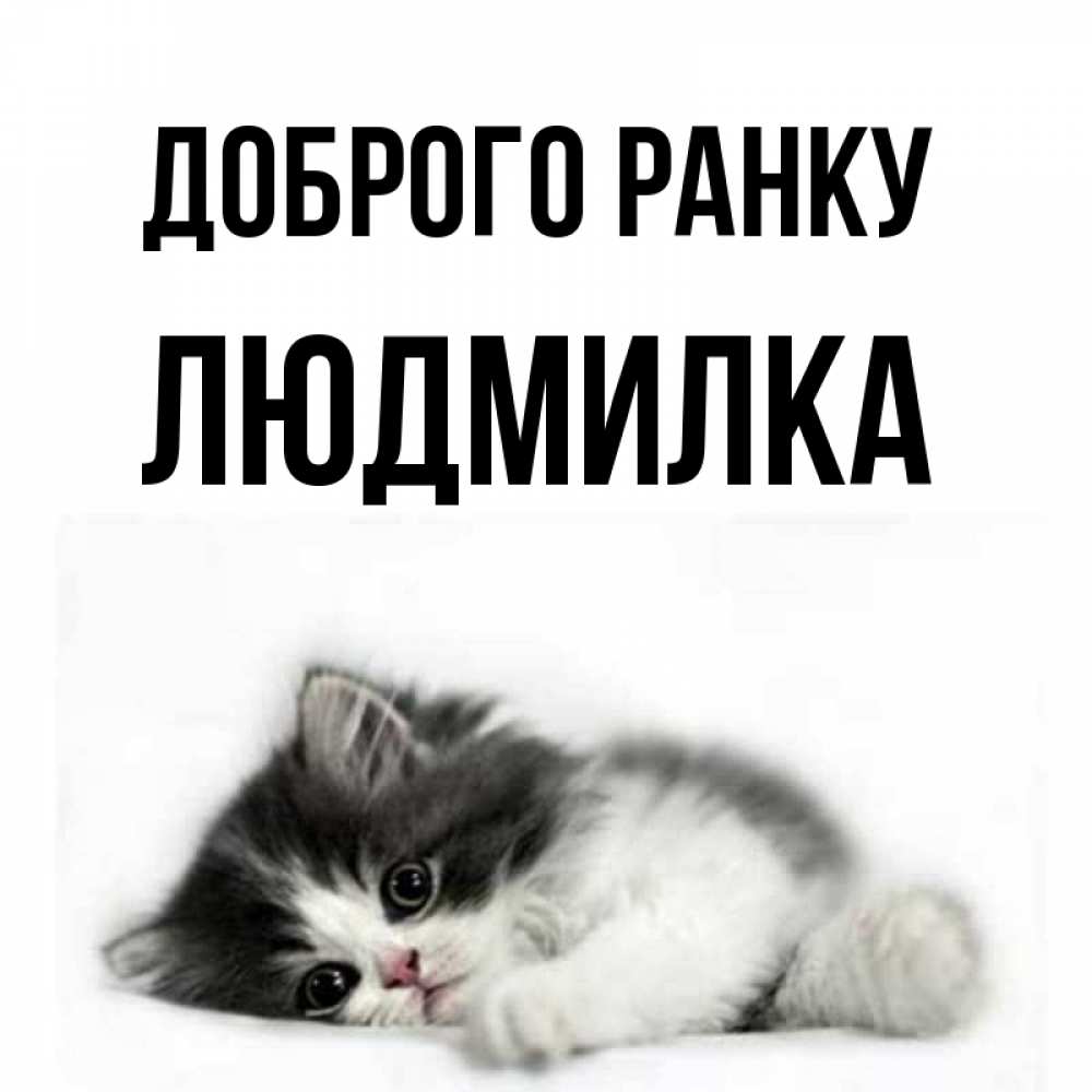 Открытка на каждый день з підписом, Людмилка Доброго ранку кот лапки Прикольна листівка з побажанням онлайн скачати безкоштовно 