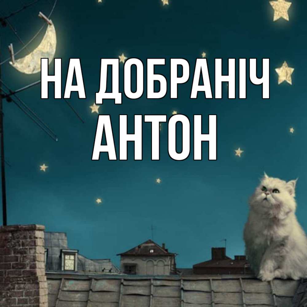 Открытка на каждый день з підписом, Антон На добраніч белый кот сидит на крыше Прикольна листівка з побажанням онлайн скачати безкоштовно 