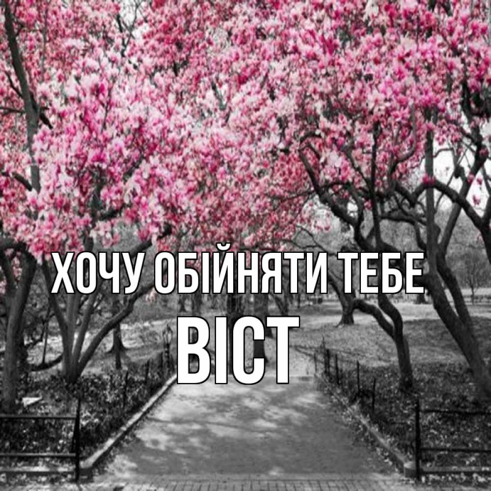 Открытка на каждый день з підписом, Віст Хочу обійняти тебе обработанное фото Прикольна листівка з побажанням онлайн скачати безкоштовно 