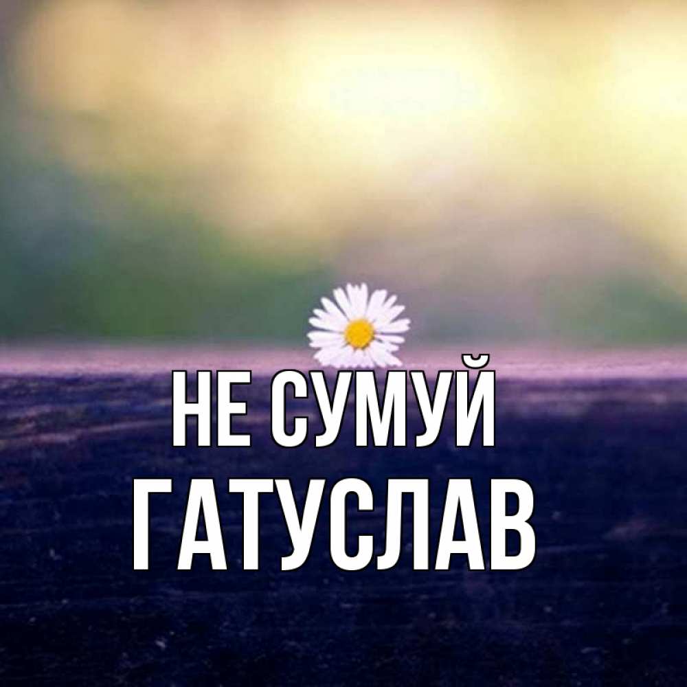 Открытка на каждый день з підписом, Гатуслав Не сумуй красота Прикольна листівка з побажанням онлайн скачати безкоштовно 