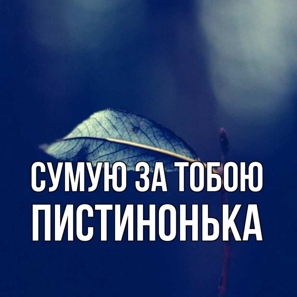 Открытка на каждый день з підписом, Пистинонька Сумую за тобою одна ветка 1 Прикольна листівка з побажанням онлайн скачати безкоштовно 