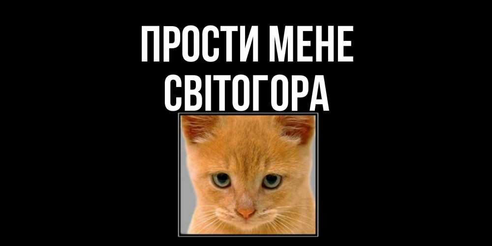 Открытка на каждый день з підписом, Світогора Прости мене рыжий грустный кот просит прощения Прикольна листівка з побажанням онлайн скачати безкоштовно 