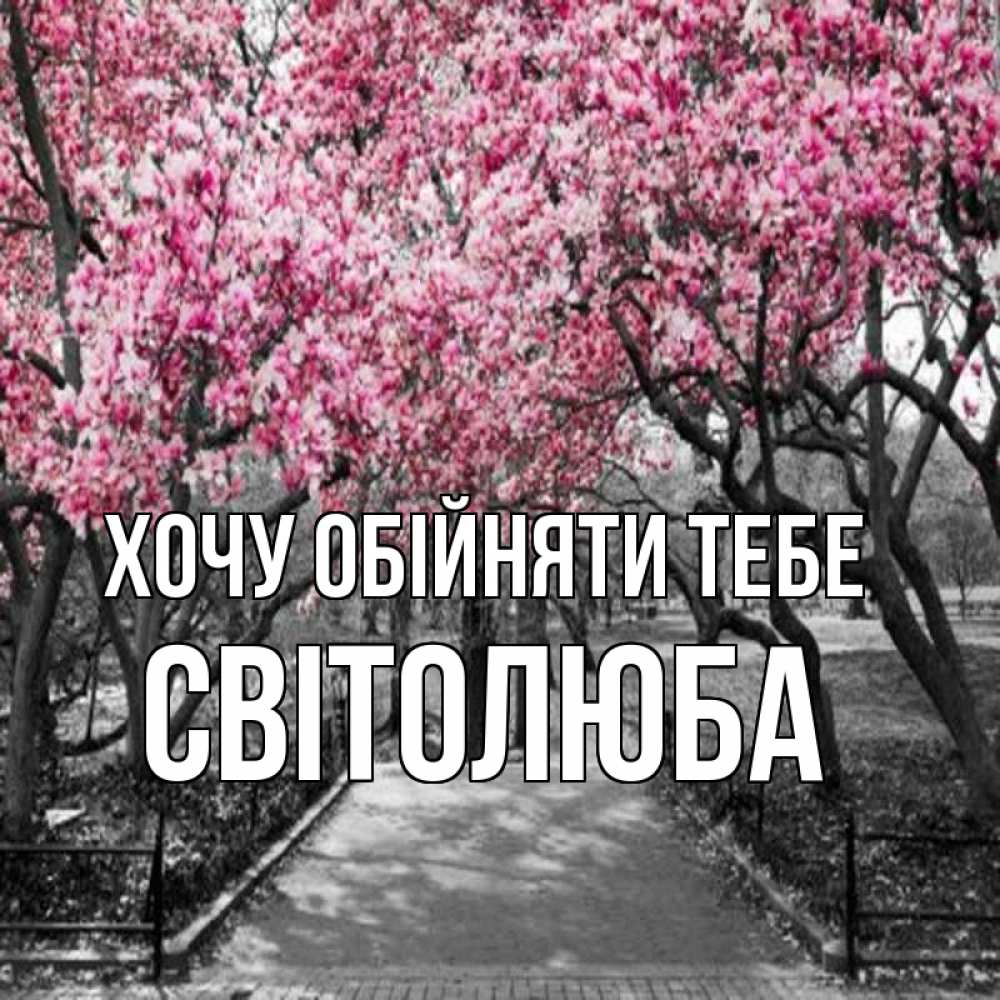 Открытка на каждый день з підписом, Світолюба Хочу обійняти тебе обработанное фото Прикольна листівка з побажанням онлайн скачати безкоштовно 