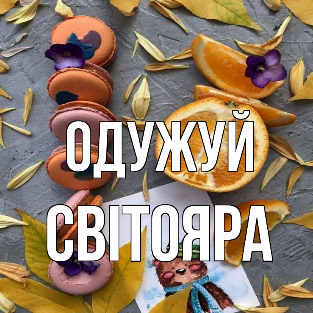 Открытка на каждый день з підписом, Світояра Одужуй не болейте Прикольна листівка з побажанням онлайн скачати безкоштовно 
