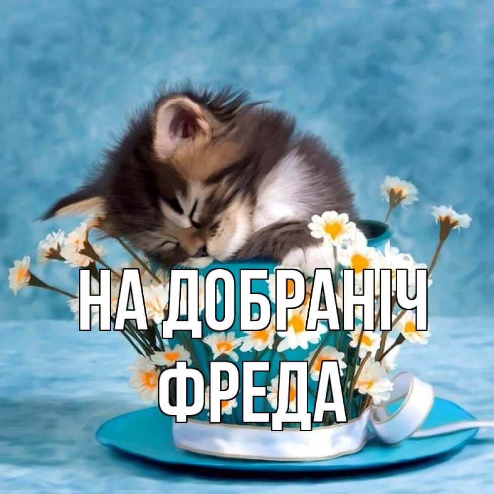 Открытка на каждый день з підписом, Фреда На добраніч котенок спит в кружке с блюдцем Прикольна листівка з побажанням онлайн скачати безкоштовно 
