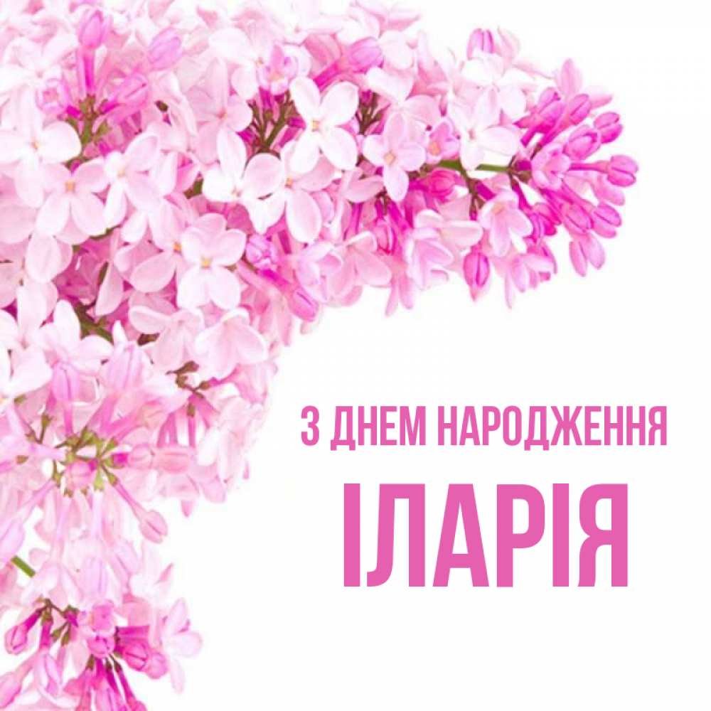 Открытка на каждый день з підписом, Іларія З Днем народження Сирень на белом фоне Прикольна листівка з побажанням онлайн скачати безкоштовно 