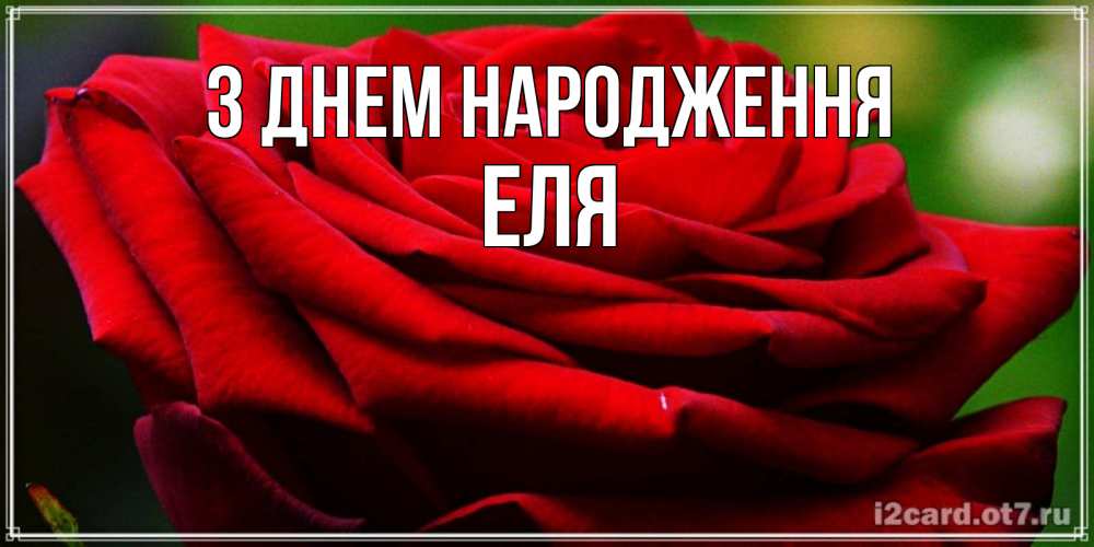 Открытка на каждый день з підписом, Еля З Днем народження розочка очень красивая Прикольна листівка з побажанням онлайн скачати безкоштовно 