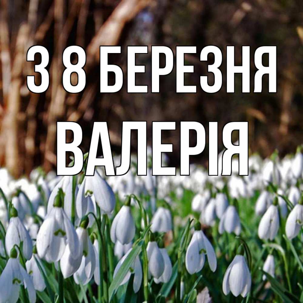 Открытка на каждый день з підписом, Валерія З 8 БЕРЕЗНЯ с подснежниками 1 Прикольна листівка з побажанням онлайн скачати безкоштовно 