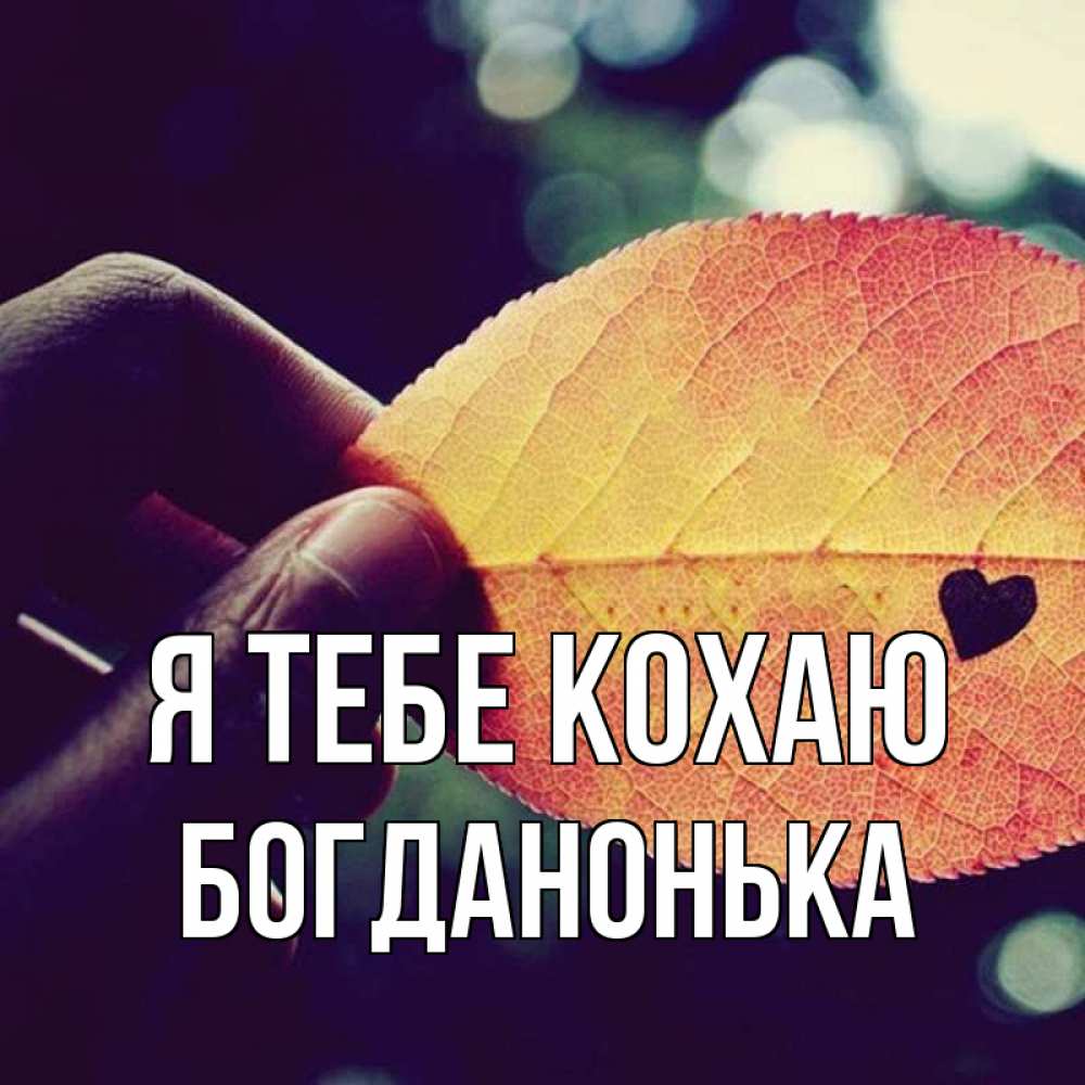 Открытка на каждый день з підписом, Богданонька Я тебе кохаю держу лист Прикольна листівка з побажанням онлайн скачати безкоштовно 