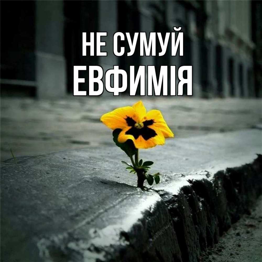Открытка на каждый день з підписом, Евфимiя Не сумуй не сдавайся Прикольна листівка з побажанням онлайн скачати безкоштовно 