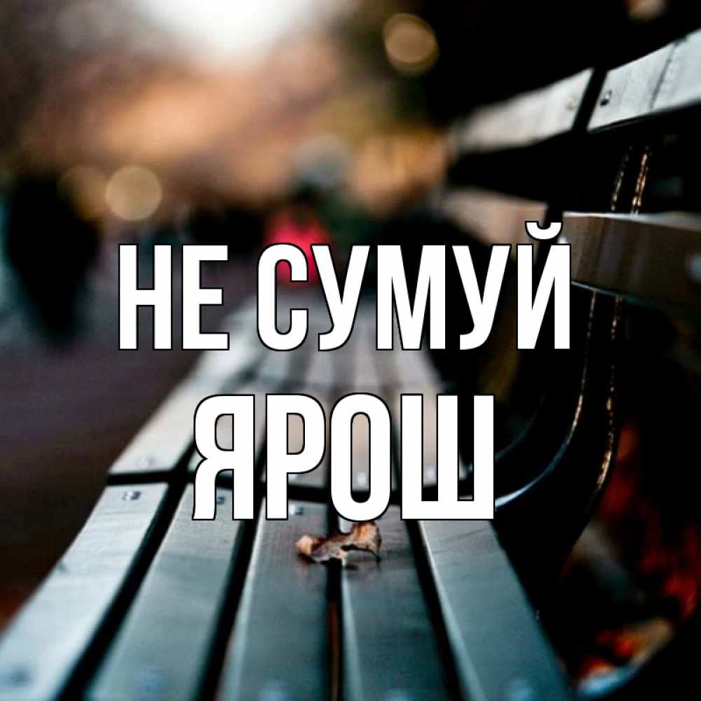 Открытка на каждый день з підписом, Ярош Не сумуй размытый фон Прикольна листівка з побажанням онлайн скачати безкоштовно 