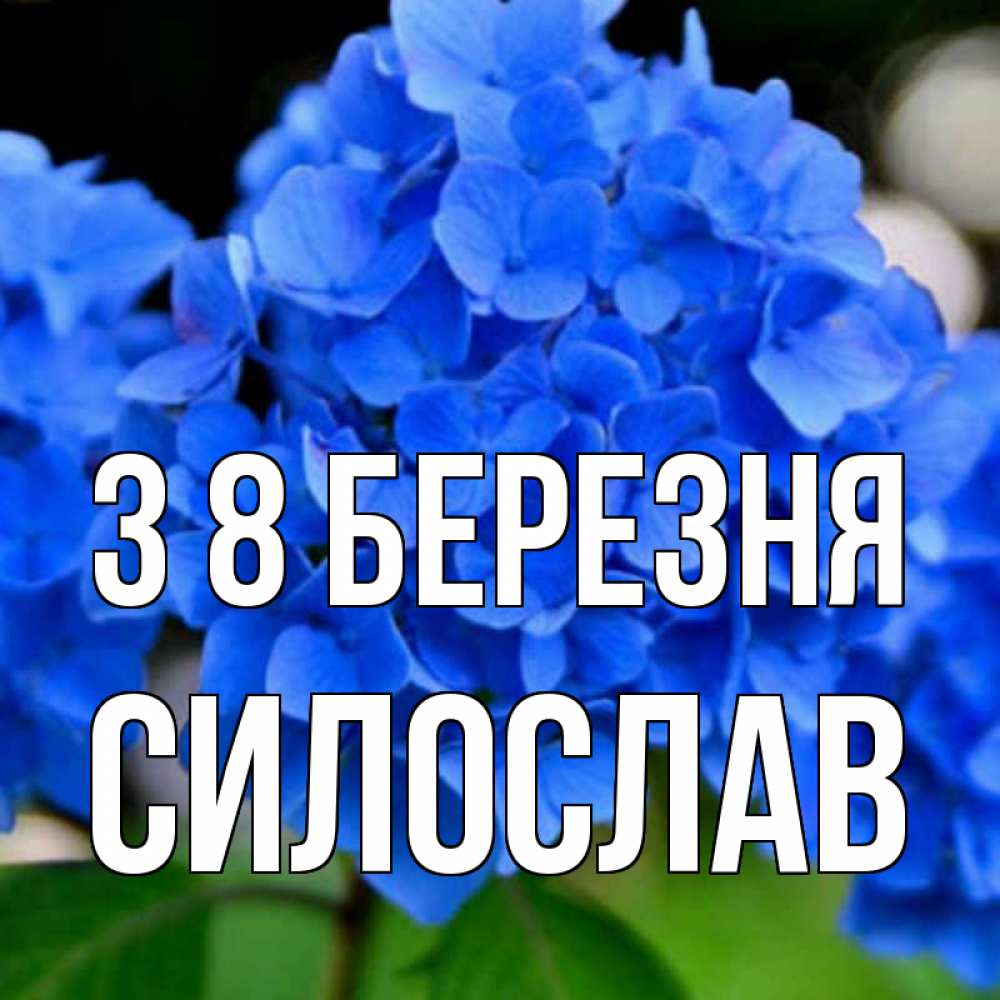 Открытка на каждый день з підписом, Силослав З 8 БЕРЕЗНЯ синие цветы Прикольна листівка з побажанням онлайн скачати безкоштовно 