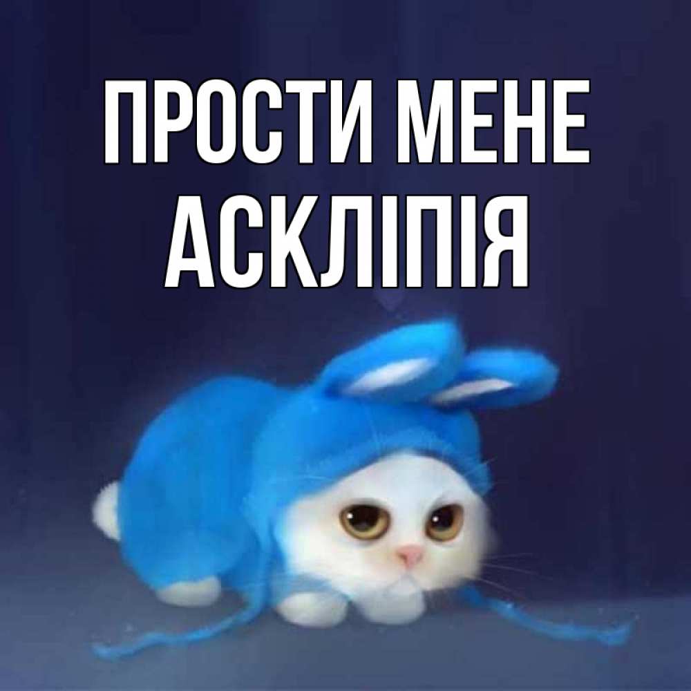 Открытка на каждый день з підписом, Аскліпія Прости мене невинный котозай просит прощения Прикольна листівка з побажанням онлайн скачати безкоштовно 