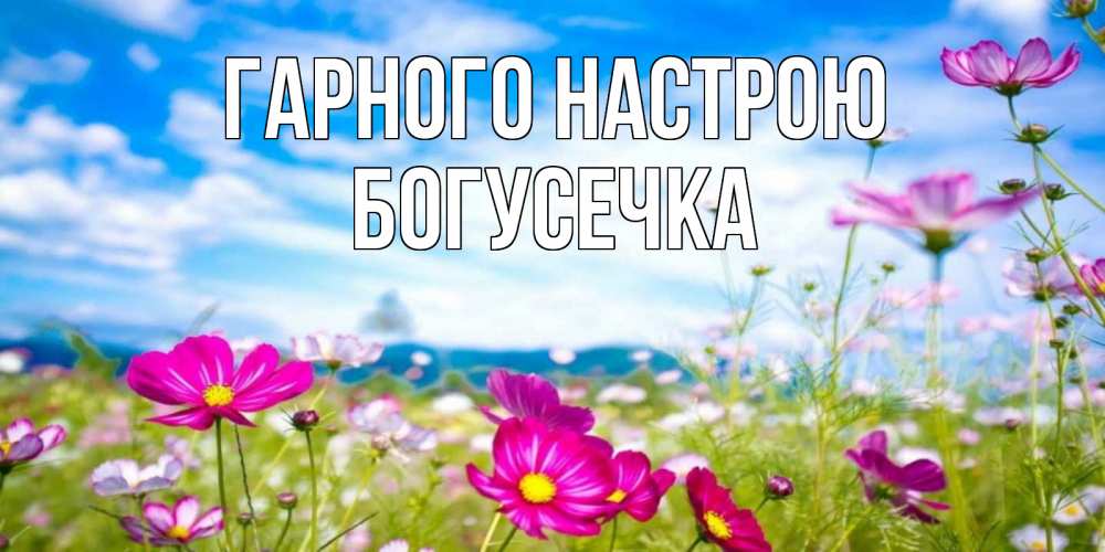 Открытка на каждый день з підписом, Богусечка Гарного настрою поле цветов Прикольна листівка з побажанням онлайн скачати безкоштовно 