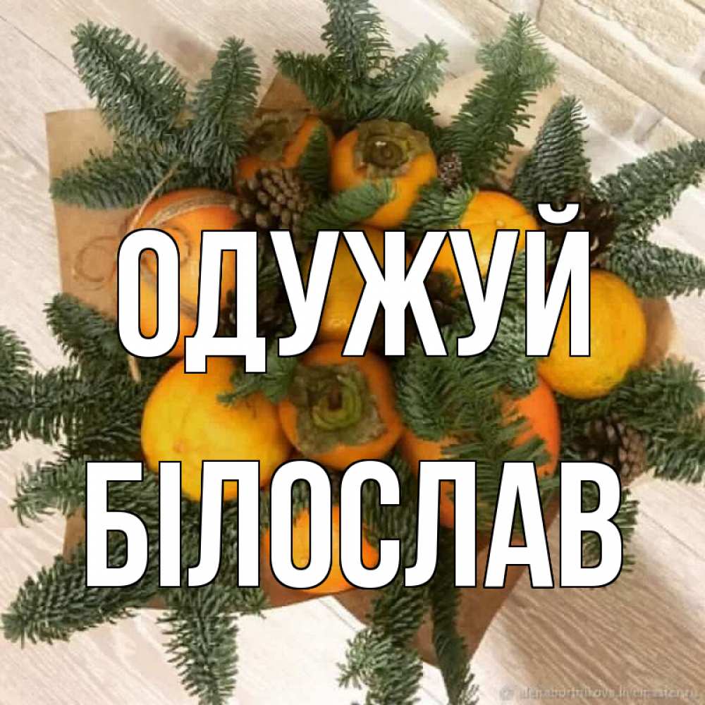Открытка на каждый день з підписом, Білослав Одужуй апельсины и хурьма Прикольна листівка з побажанням онлайн скачати безкоштовно 