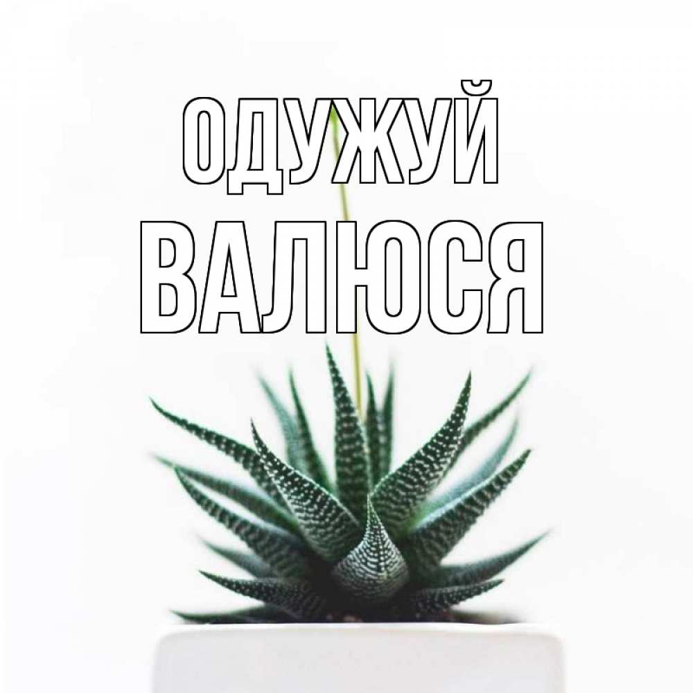 Открытка на каждый день з підписом, Валюся Одужуй короче это непонятная колючка Прикольна листівка з побажанням онлайн скачати безкоштовно 