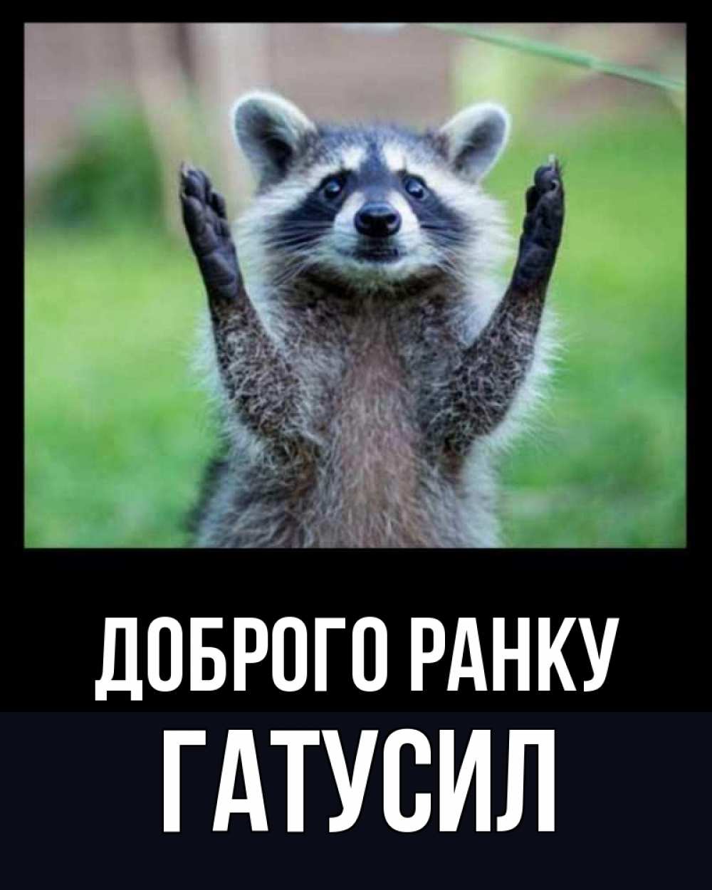 Открытка на каждый день з підписом, Гатусил Доброго ранку хорошее настроение утречком Прикольна листівка з побажанням онлайн скачати безкоштовно 
