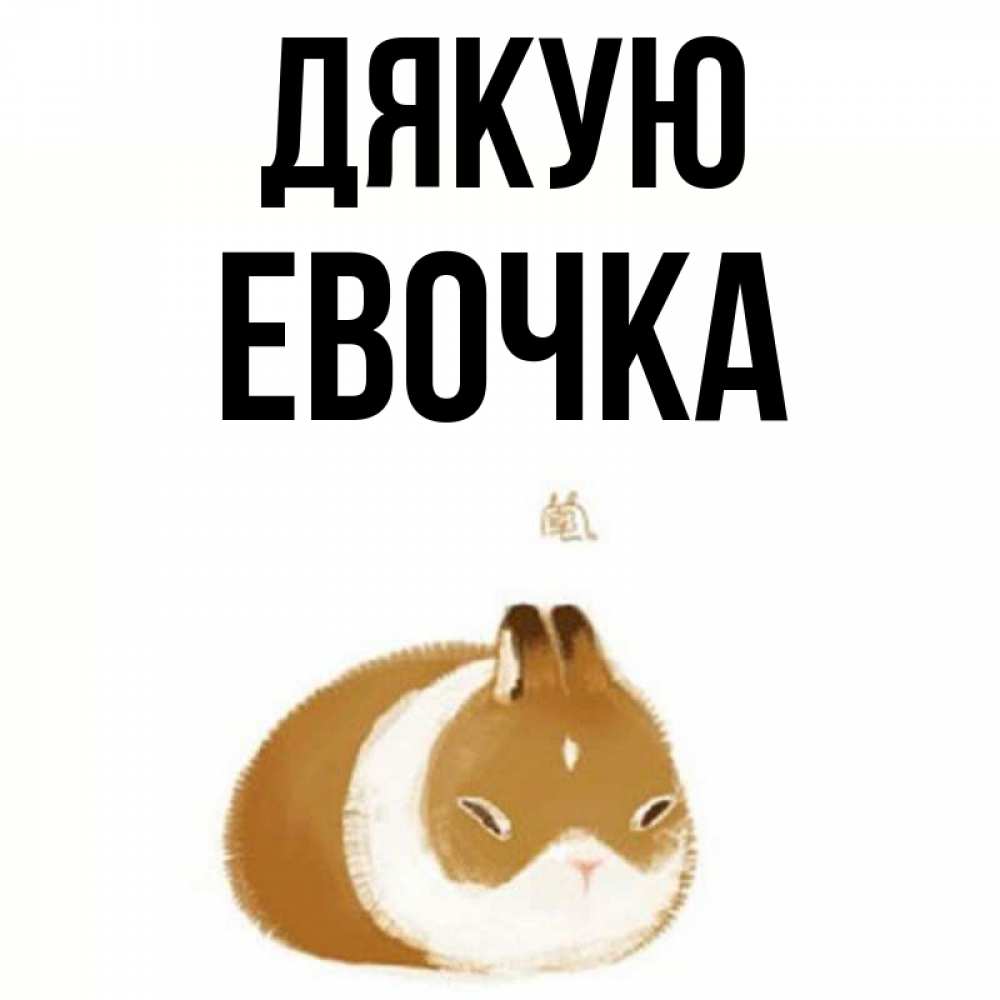 Открытка на каждый день з підписом, Евочка Дякую коричнево белый домашний питомец Прикольна листівка з побажанням онлайн скачати безкоштовно 