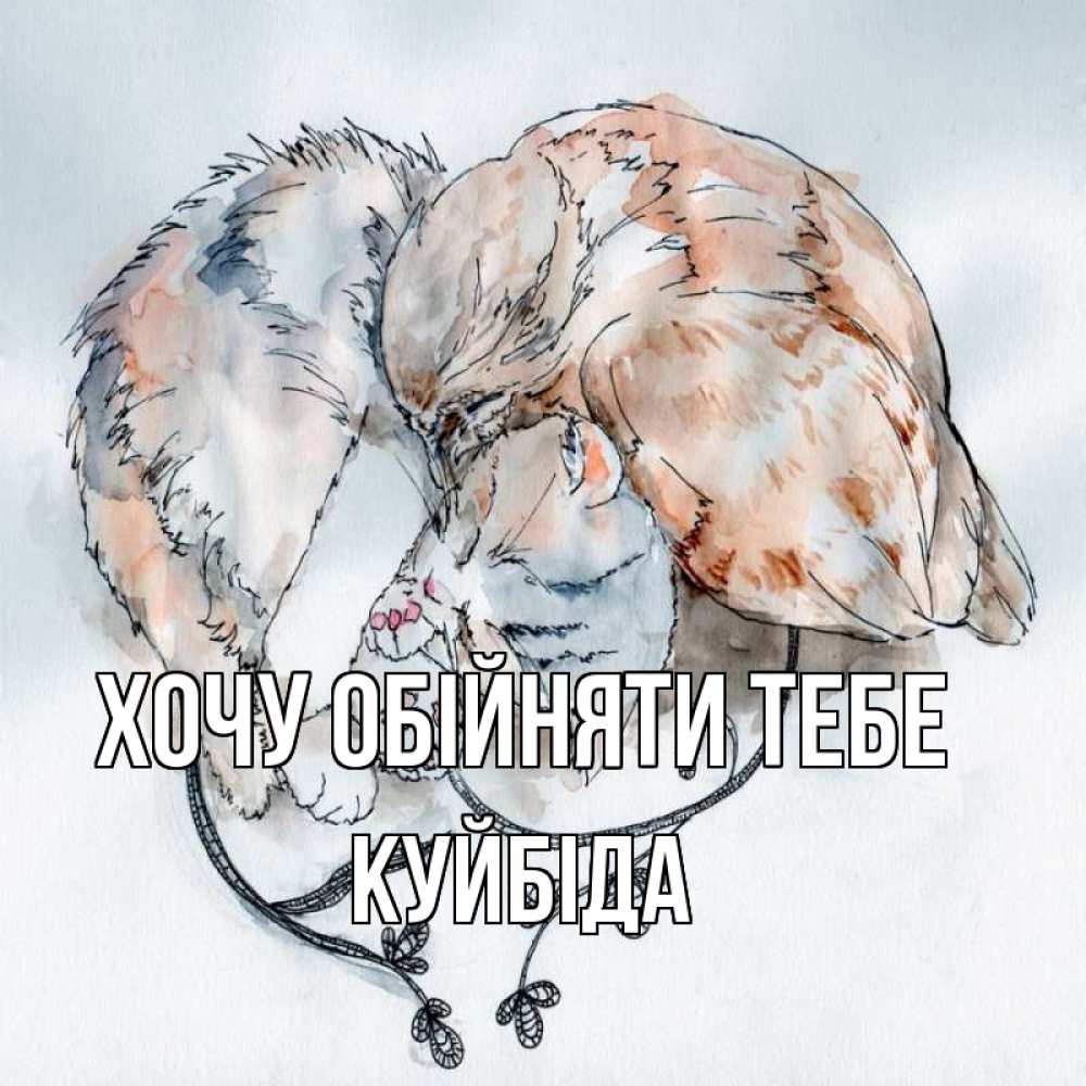 Открытка на каждый день з підписом, Куйбіда Хочу обійняти тебе можно быть вместе даже когда очень разные Прикольна листівка з побажанням онлайн скачати безкоштовно 