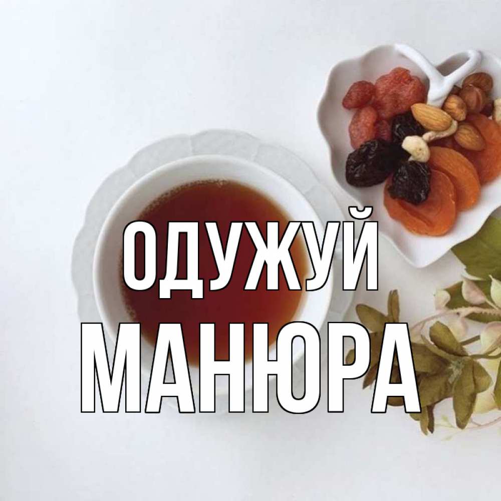 Открытка на каждый день з підписом, Манюра Одужуй неизвестные растения Прикольна листівка з побажанням онлайн скачати безкоштовно 