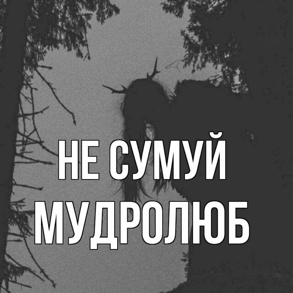 Открытка на каждый день з підписом, Мудролюб Не сумуй чудище лесное Прикольна листівка з побажанням онлайн скачати безкоштовно 
