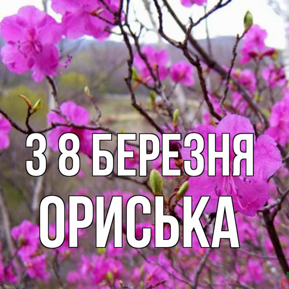 Открытка на каждый день з підписом, Ориська З 8 БЕРЕЗНЯ международный женский день Прикольна листівка з побажанням онлайн скачати безкоштовно 