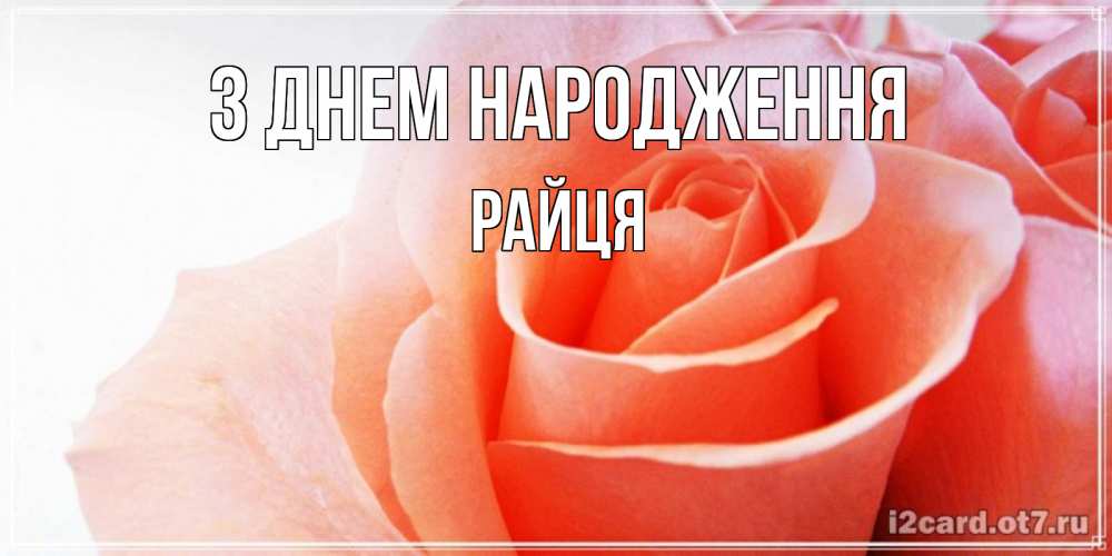 Открытка на каждый день з підписом, Райця З Днем народження розы для поздравления с днем рождения Прикольна листівка з побажанням онлайн скачати безкоштовно 