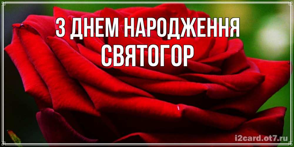 Открытка на каждый день з підписом, Святогор З Днем народження розочка очень красивая Прикольна листівка з побажанням онлайн скачати безкоштовно 