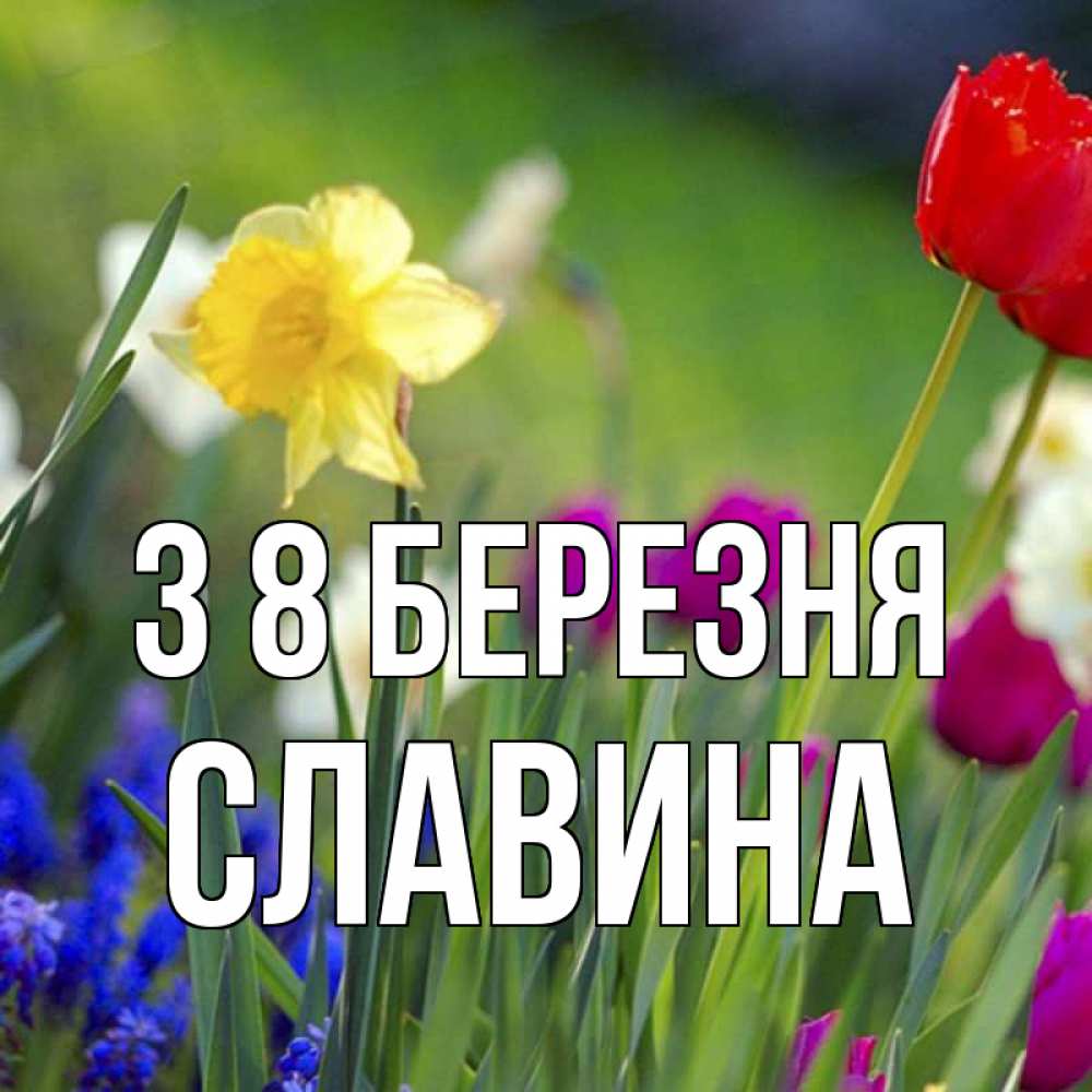 Открытка на каждый день з підписом, Славина З 8 БЕРЕЗНЯ международный женский день 3 Прикольна листівка з побажанням онлайн скачати безкоштовно 