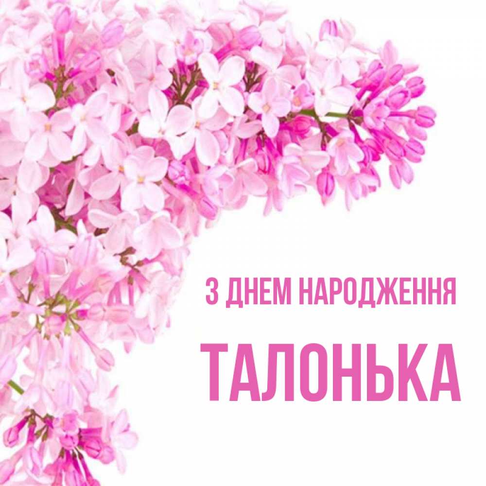 Открытка на каждый день з підписом, Талонька З Днем народження Сирень на белом фоне Прикольна листівка з побажанням онлайн скачати безкоштовно 