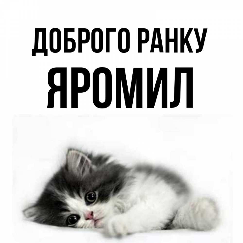 Открытка на каждый день з підписом, Яромил Доброго ранку кот лапки Прикольна листівка з побажанням онлайн скачати безкоштовно 