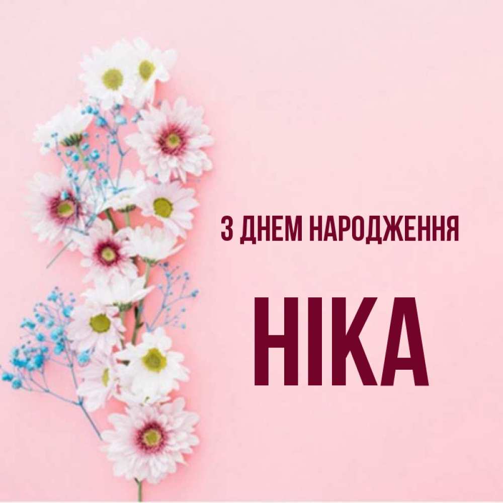 Открытка на каждый день з підписом, Ніка З Днем народження Родная моя с днем рождения тебя картинка с цветами белыми и голубыми Прикольна листівка з побажанням онлайн скачати безкоштовно 