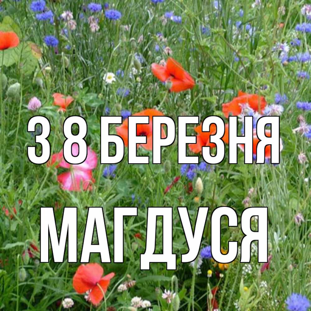 Открытка на каждый день з підписом, Магдуся З 8 БЕРЕЗНЯ международный женский день 4 Прикольна листівка з побажанням онлайн скачати безкоштовно 