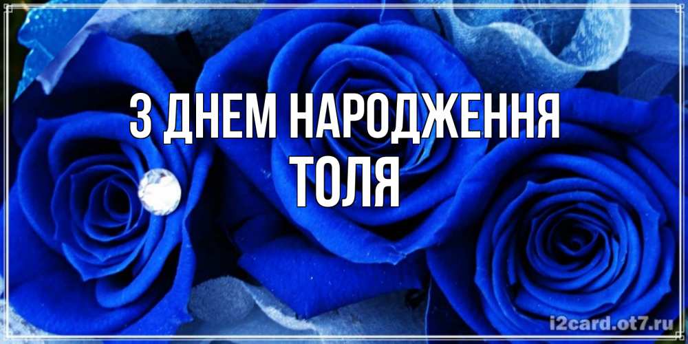 Открытка на каждый день з підписом, Толя З Днем народження синие розы в росе Прикольна листівка з побажанням онлайн скачати безкоштовно 