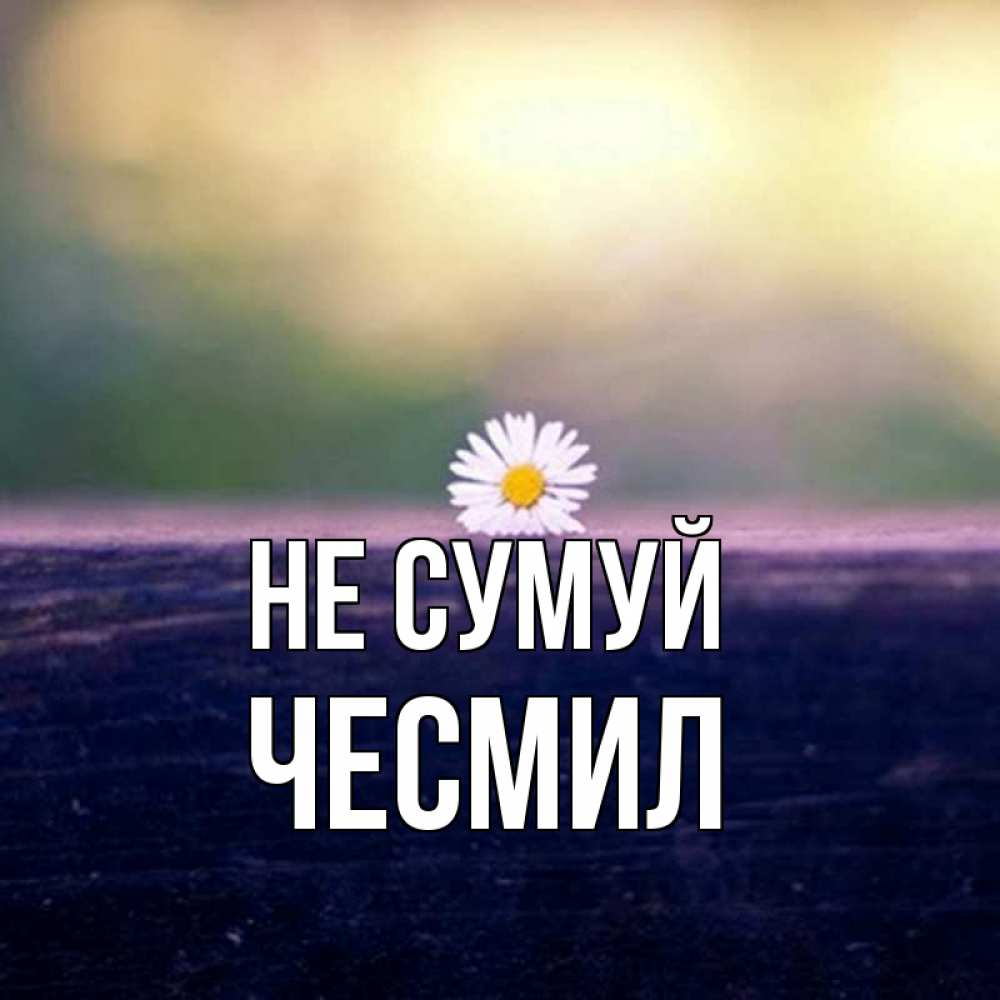 Открытка на каждый день з підписом, Чесмил Не сумуй красота Прикольна листівка з побажанням онлайн скачати безкоштовно 