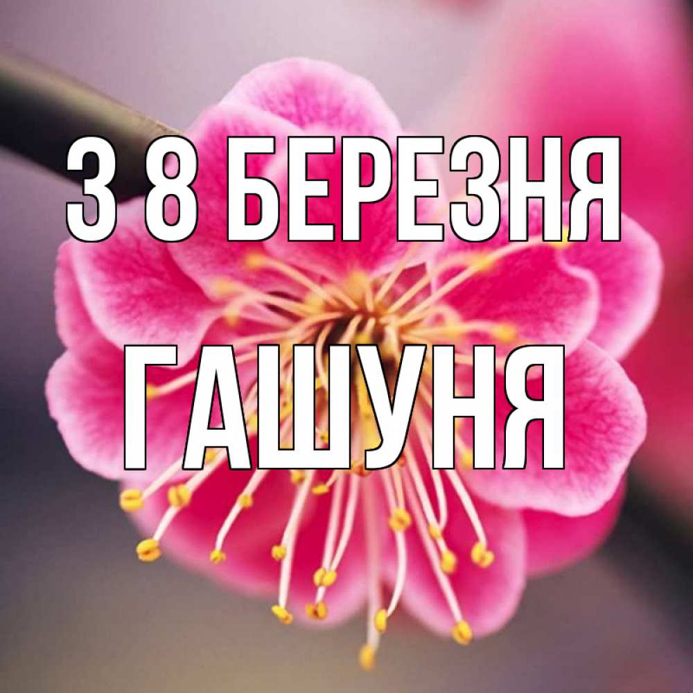 Открытка на каждый день з підписом, Гашуня З 8 БЕРЕЗНЯ цветы Прикольна листівка з побажанням онлайн скачати безкоштовно 