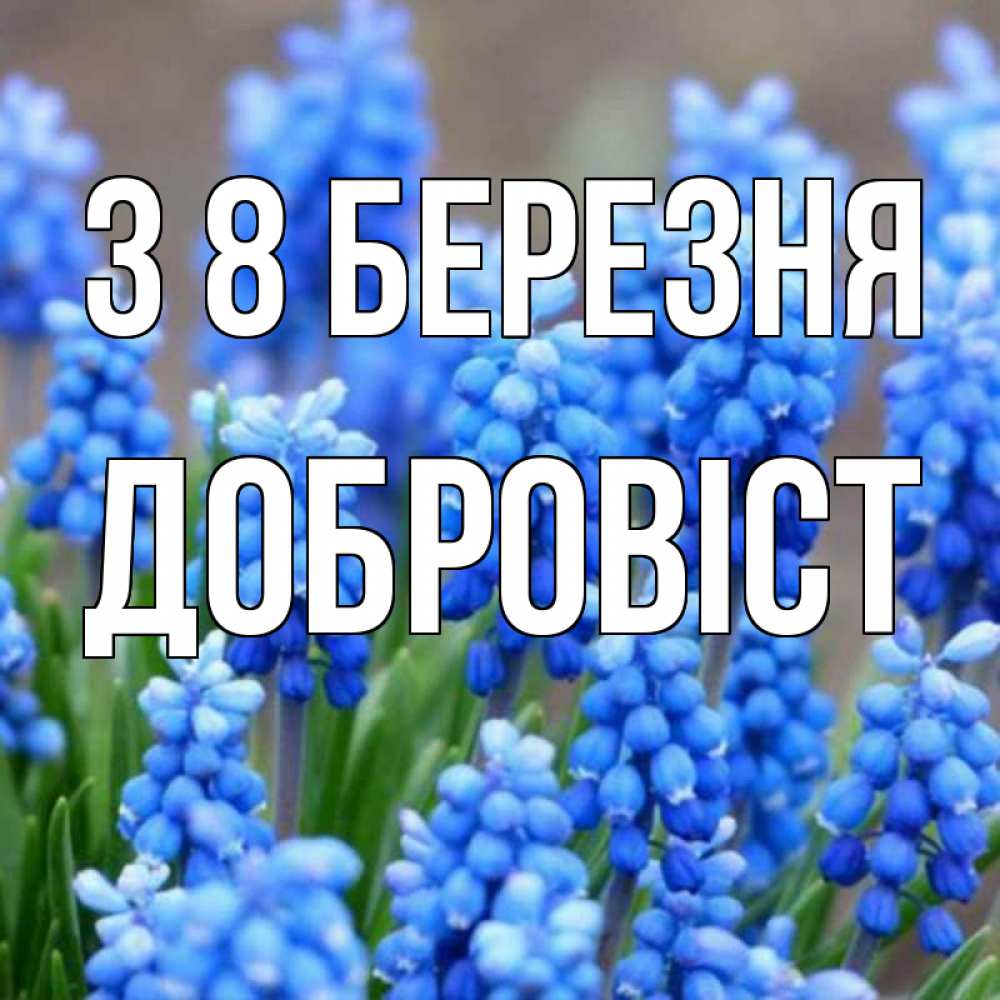 Открытка на каждый день з підписом, Добровіст З 8 БЕРЕЗНЯ Поздравительная открытка для женщин с цветами на праздничную дату Прикольна листівка з побажанням онлайн скачати безкоштовно 