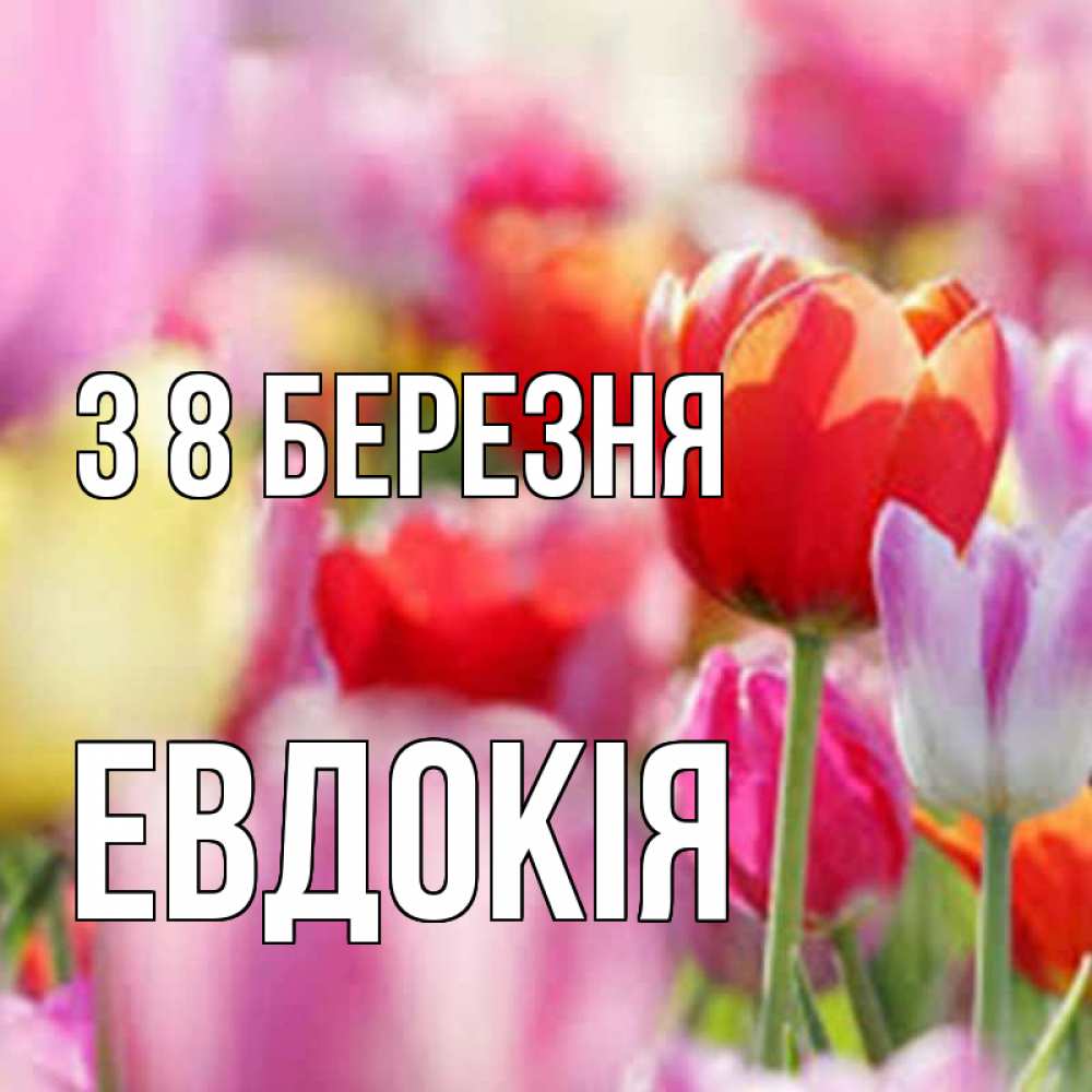 Открытка на каждый день з підписом, Евдокія З 8 БЕРЕЗНЯ на международный женский день 2 Прикольна листівка з побажанням онлайн скачати безкоштовно 