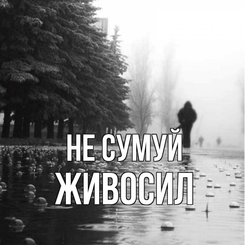 Открытка на каждый день з підписом, Живосил Не сумуй улица под дождем Прикольна листівка з побажанням онлайн скачати безкоштовно 
