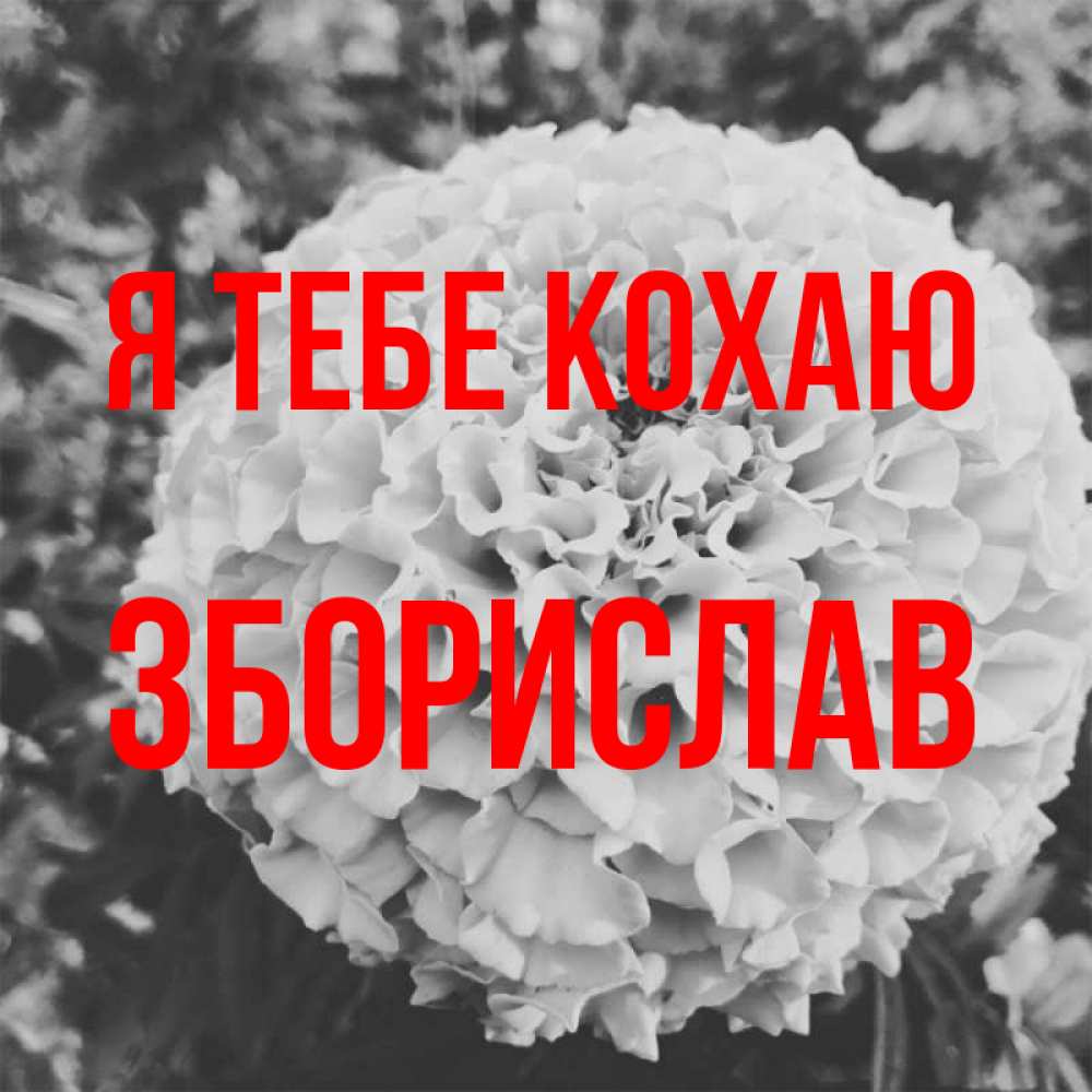 Открытка на каждый день з підписом, Зборислав Я тебе кохаю подпись Прикольна листівка з побажанням онлайн скачати безкоштовно 
