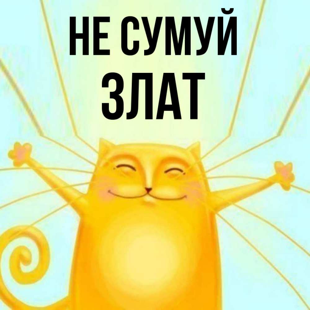 Открытка на каждый день з підписом, Злат Не сумуй обнимашки усатые Прикольна листівка з побажанням онлайн скачати безкоштовно 