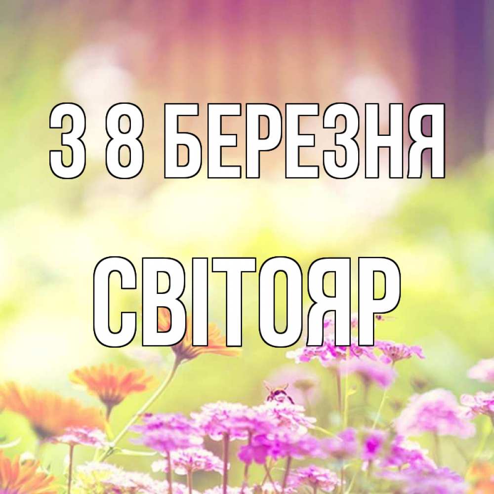 Открытка на каждый день з підписом, Світояр З 8 БЕРЕЗНЯ цветы весна Прикольна листівка з побажанням онлайн скачати безкоштовно 