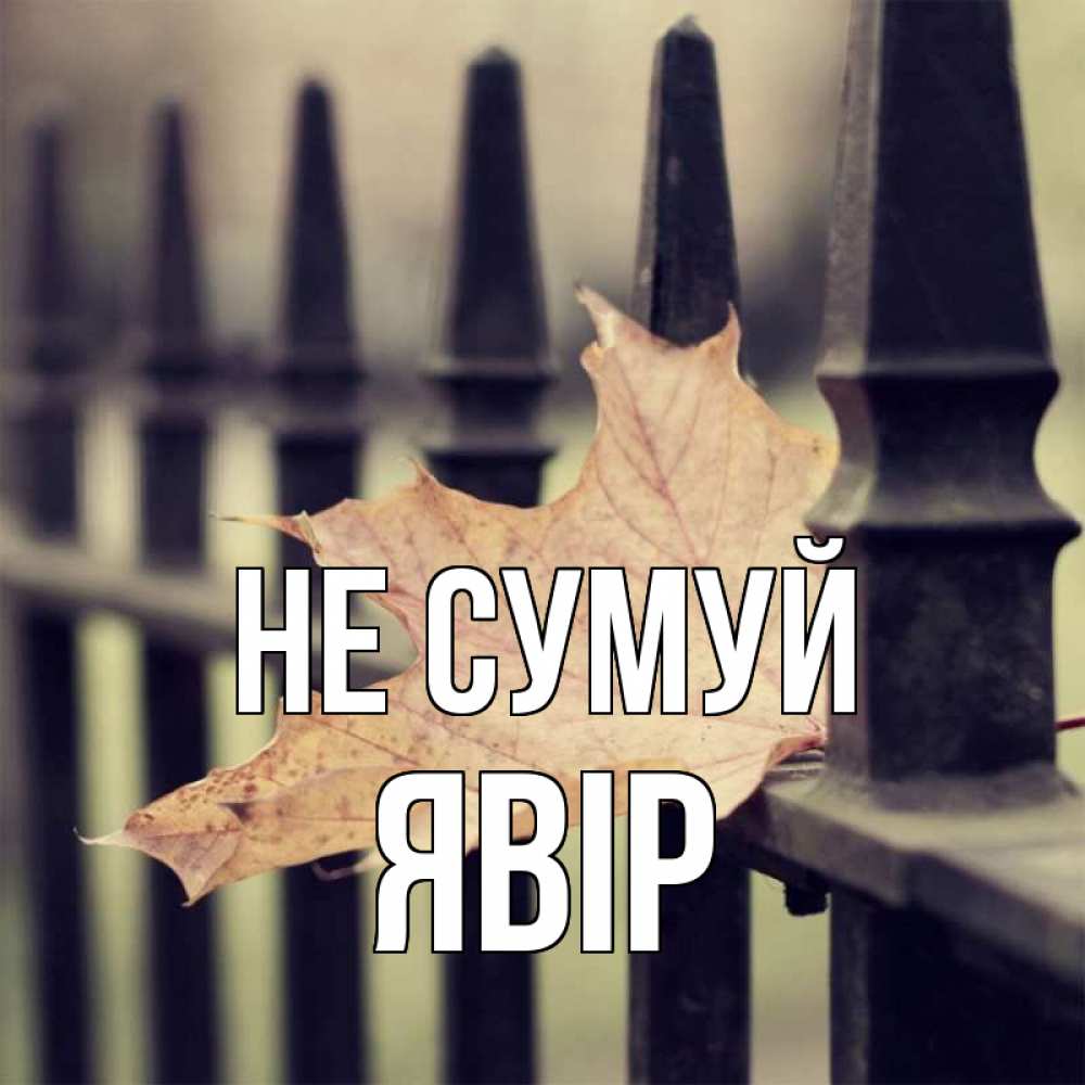 Открытка на каждый день з підписом, Явір Не сумуй лист клена Прикольна листівка з побажанням онлайн скачати безкоштовно 