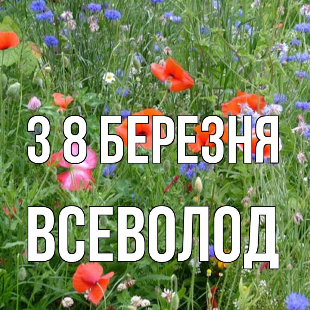 Открытка на каждый день з підписом, Всеволод З 8 БЕРЕЗНЯ международный женский день 4 Прикольна листівка з побажанням онлайн скачати безкоштовно 