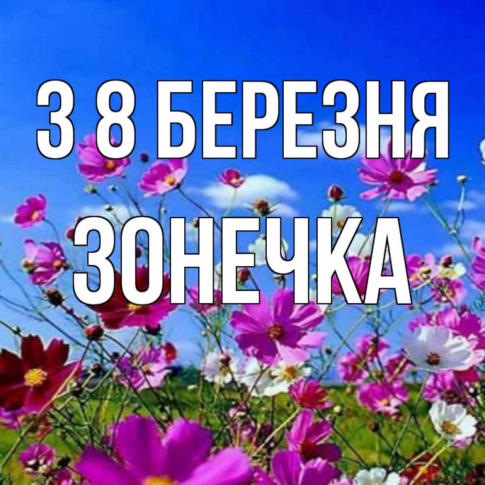 Открытка на каждый день з підписом, Зонечка З 8 БЕРЕЗНЯ цветы Прикольна листівка з побажанням онлайн скачати безкоштовно 